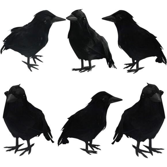 Halloween Black Feathered Crows, Lifelik Halloween Decoration Birds - Picture 1 of 7